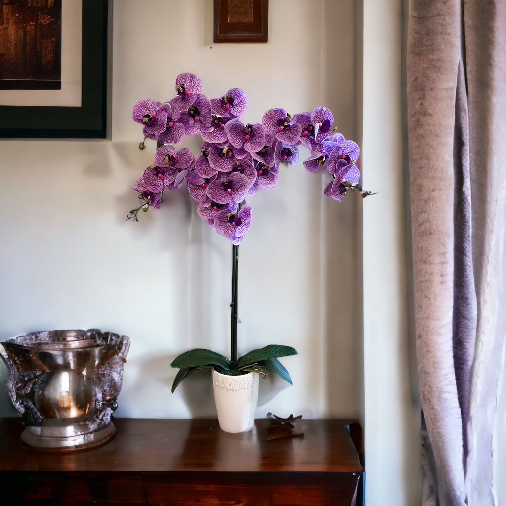 Gorgeous Variegated Orchid with 9 Flowers in Ceramic Pot