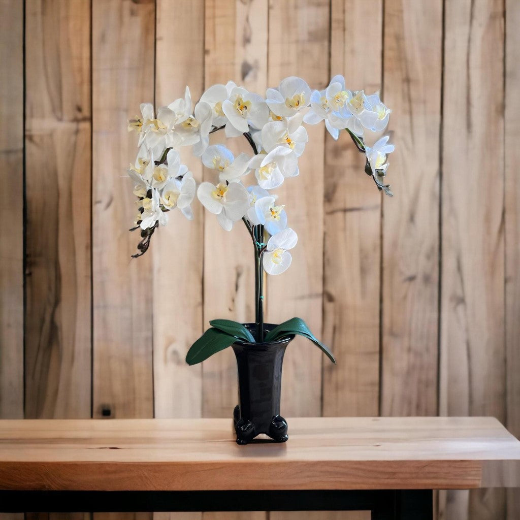 Stunning Orchids in Legged Pot