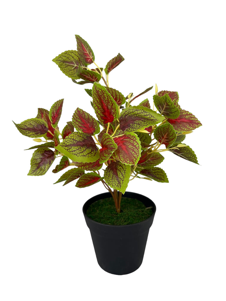 Gorgeous Artificial Leaves in Plastic Pot