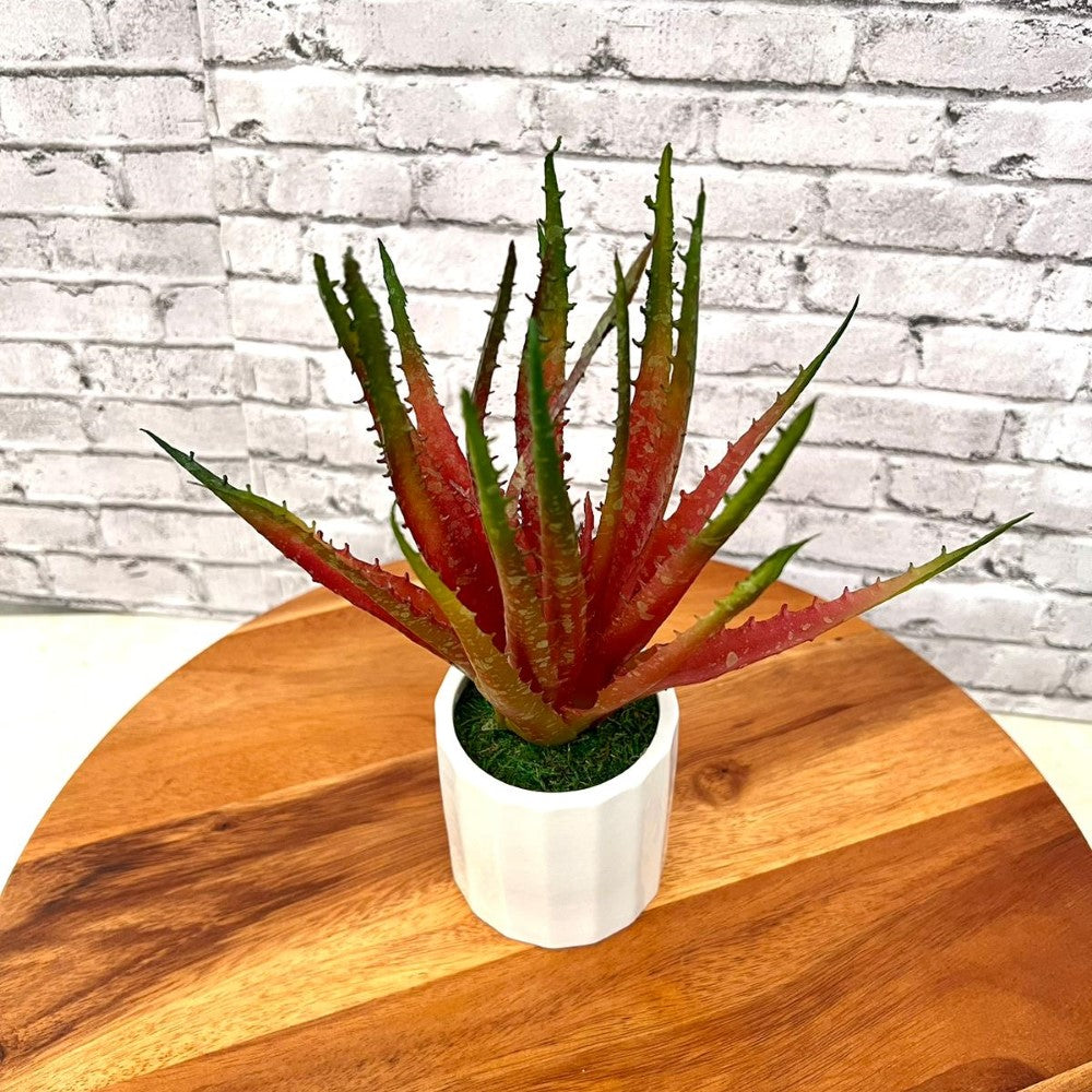 Gorgeous Artificial Aloe vera Plant in Ceramic Pot