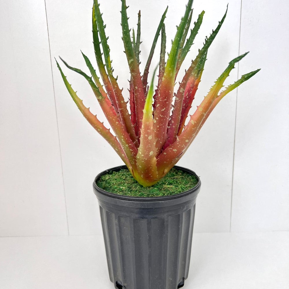 Gorgeous Artificial Aloe vera Plant in Ceramic Pot