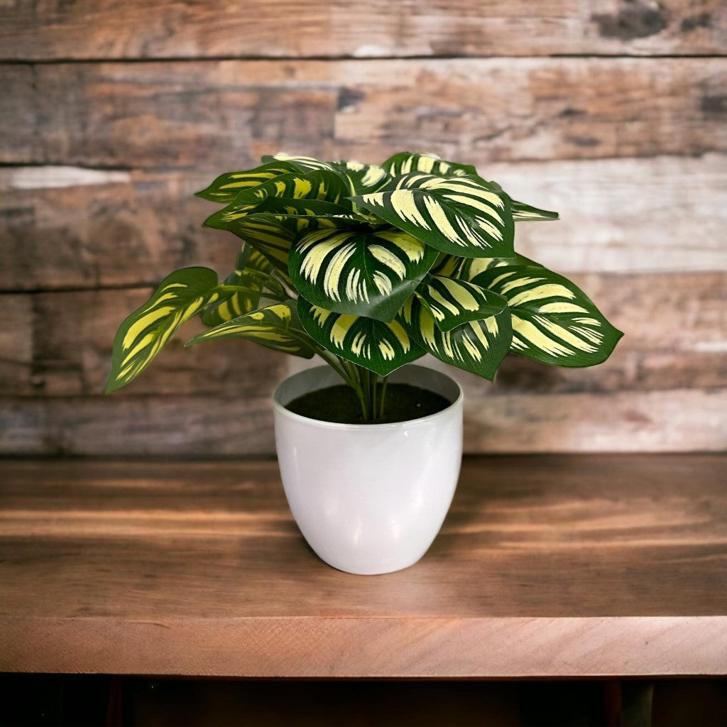 Artificial Plastic Plant with Pot