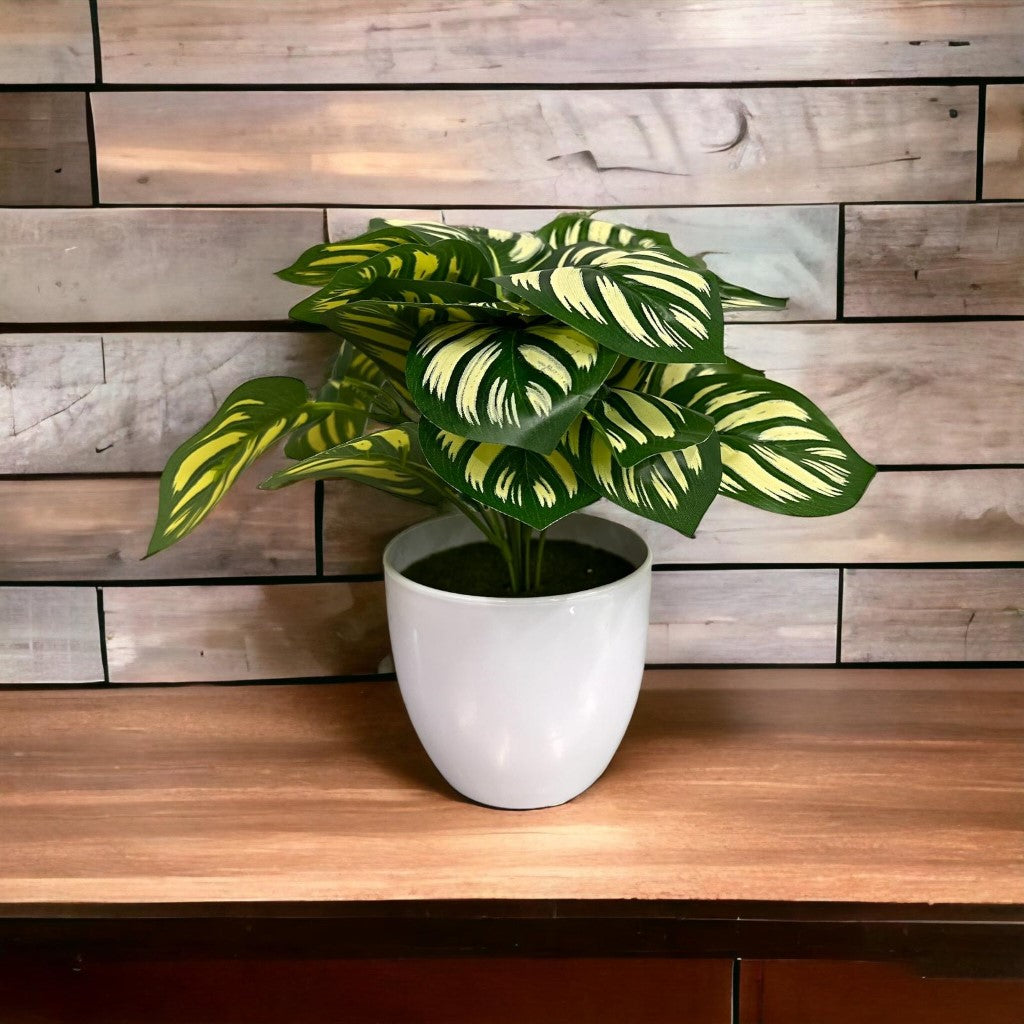 Artificial Plastic Plant with Pot