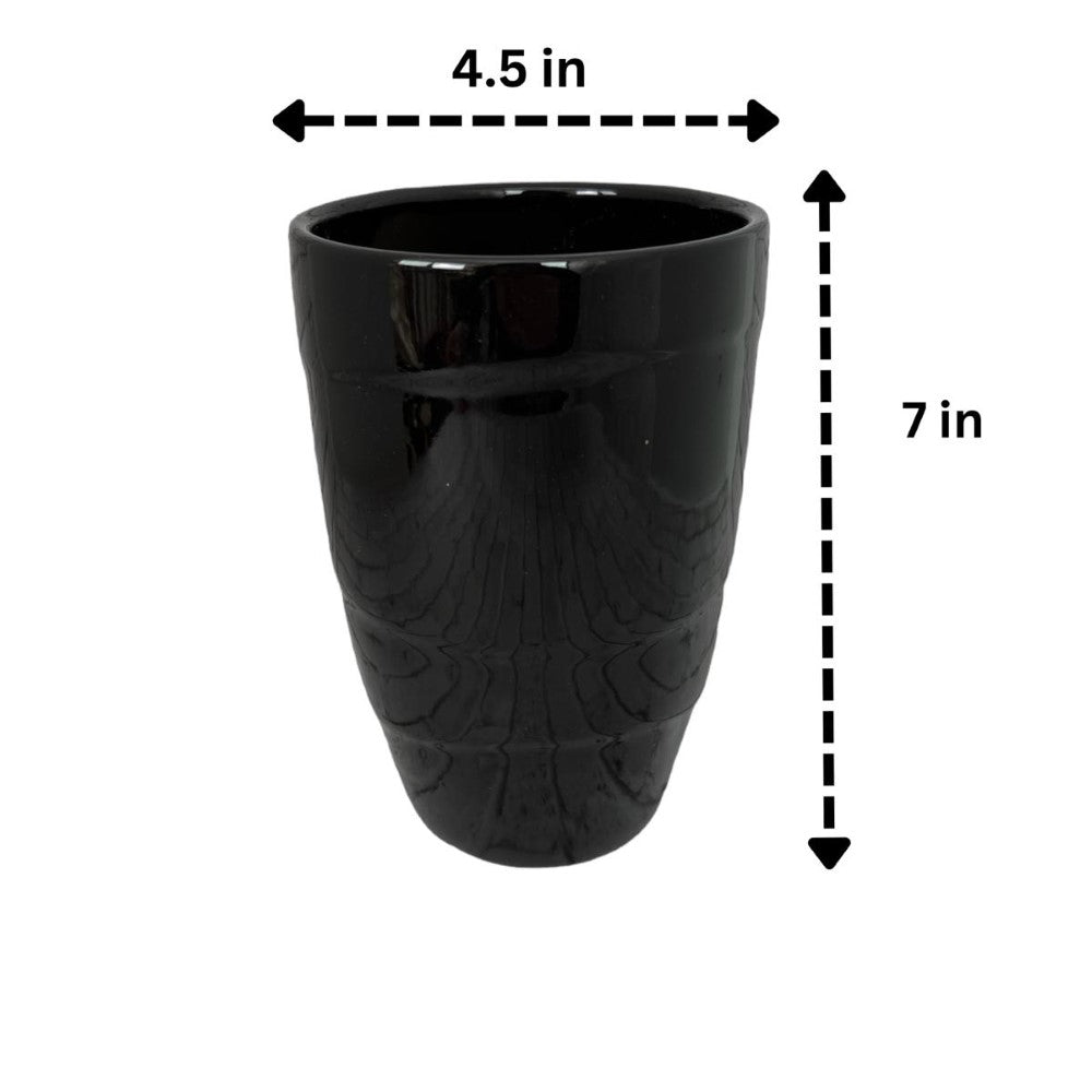 Beautiful Black Ceramic Planter