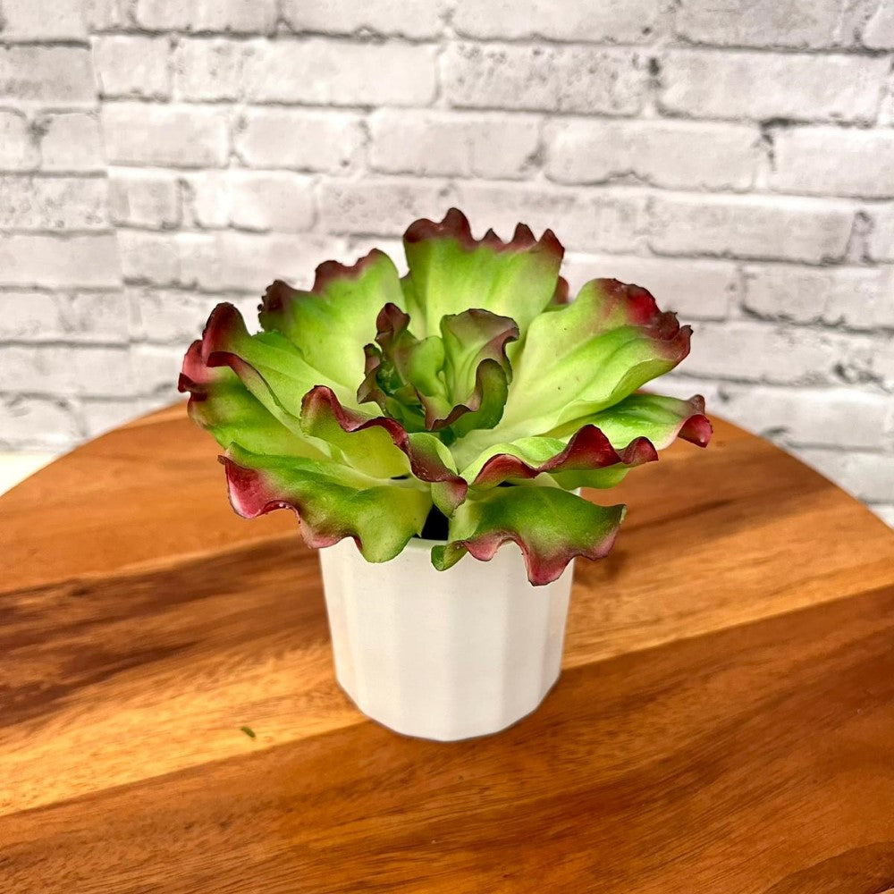 Gorgeous Artificial Plant in Pot of Your Choice