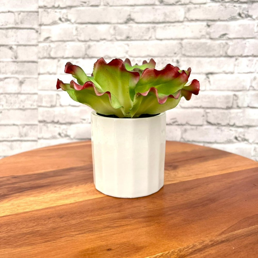 Gorgeous Artificial Plant in Pot of Your Choice