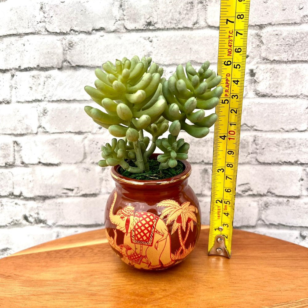 Beautiful Mini Green Succulent-Artificial