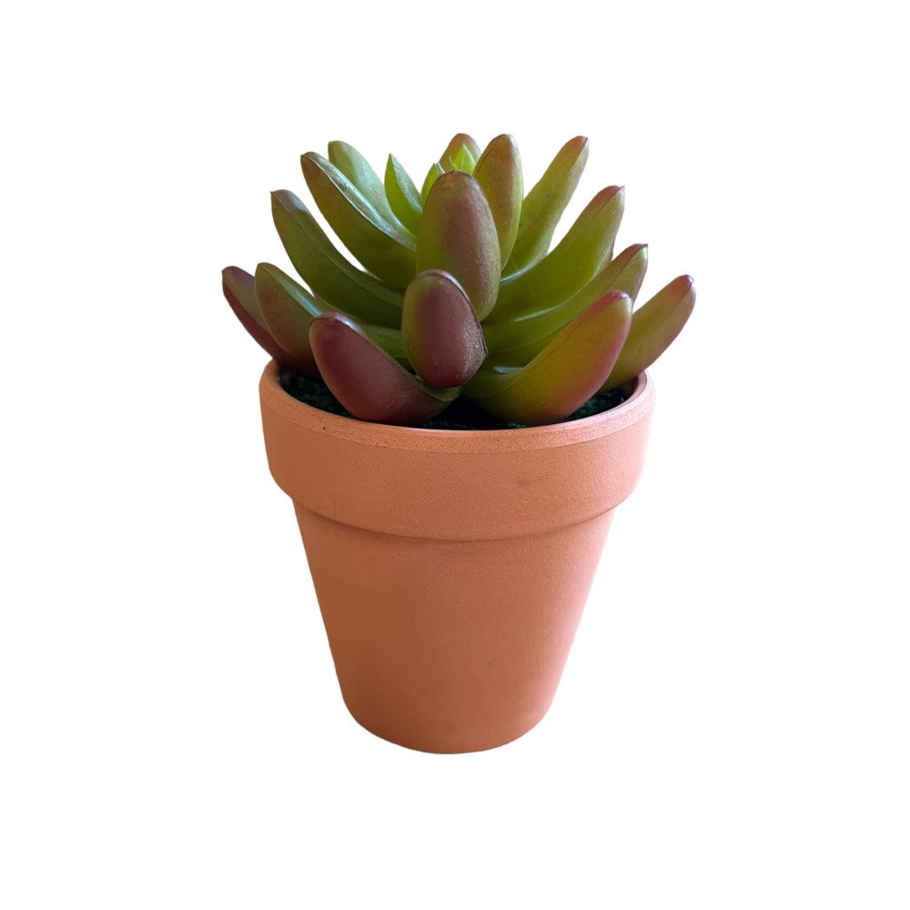 Gorgeous Mini Pot with Artificial Succulent