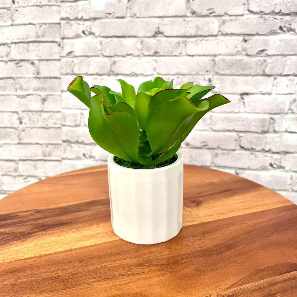 Stunning Artificial Plant with Ceramic Pot