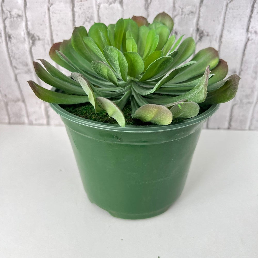 Cute Tree Houseleek Succulent in Plastic Pot - Artificial