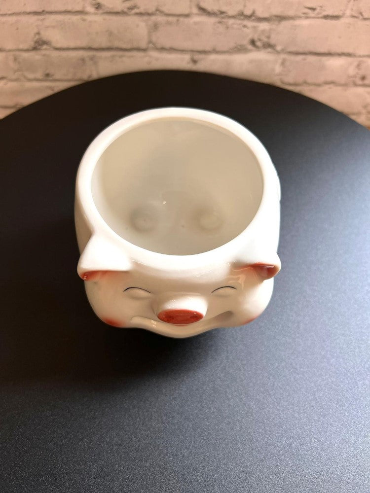 Cute Porky Ceramic Planter