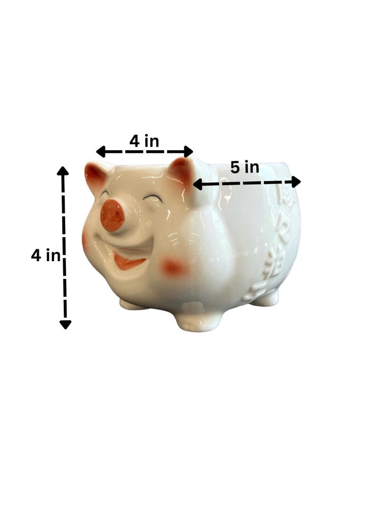 Cute Porky Ceramic Planter