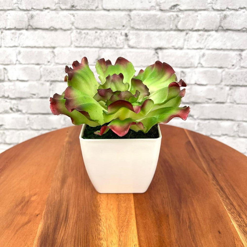 Gorgeous Artificial Plant in Pot of Your Choice