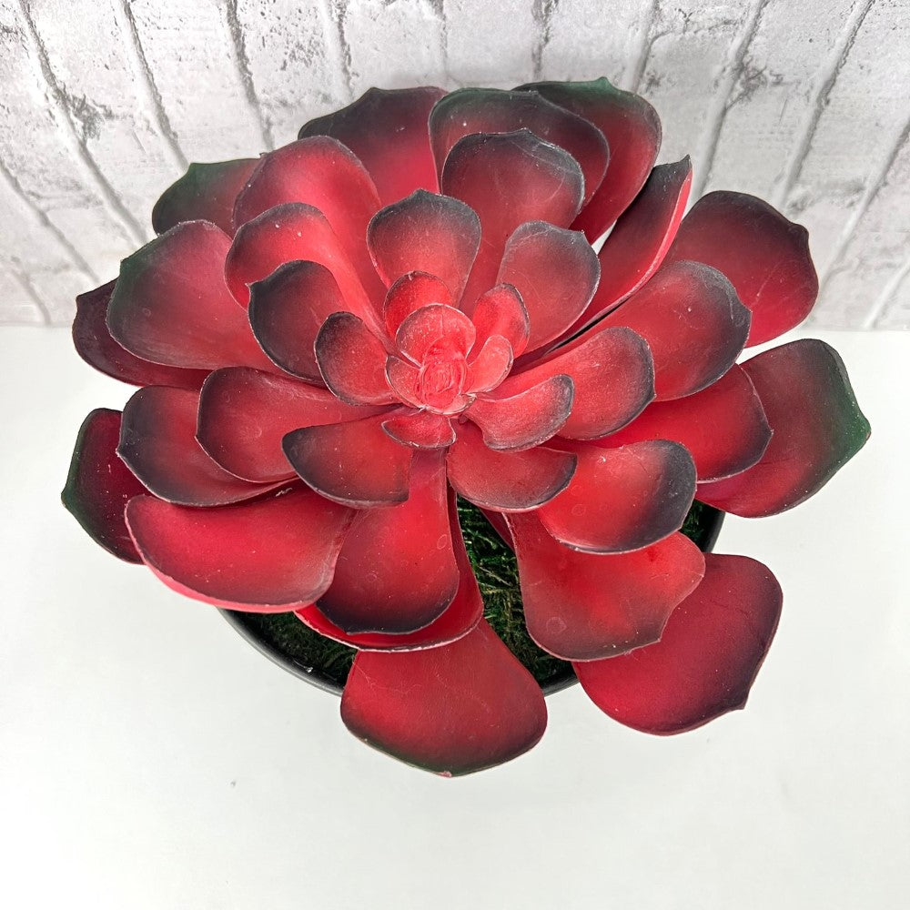 Gorgeous Echeveria in Color of Your Choice - Artificial