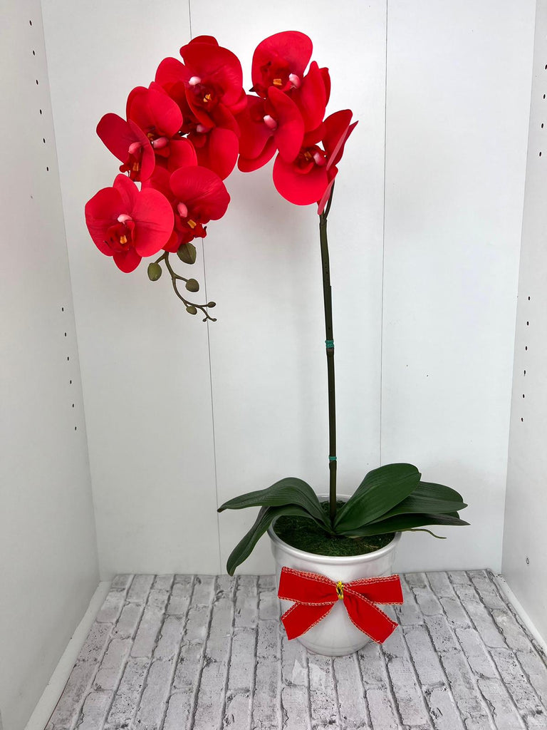 Gorgeous Red Orchid in Ceramic Pot