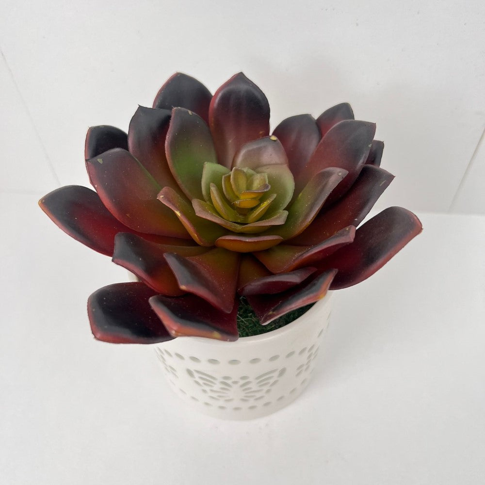 Beautiful Succulent in Ceramic Pot - Artificial