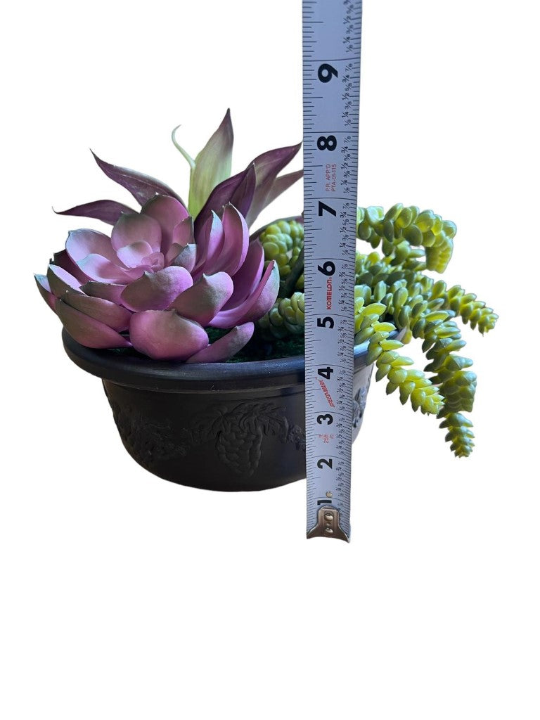 Artificial Gorgeous Succulent Plant in Plastic Pot