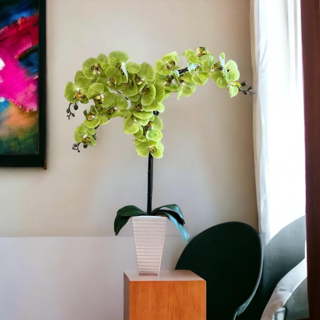 Stunning Orchids in White Triangular Pot