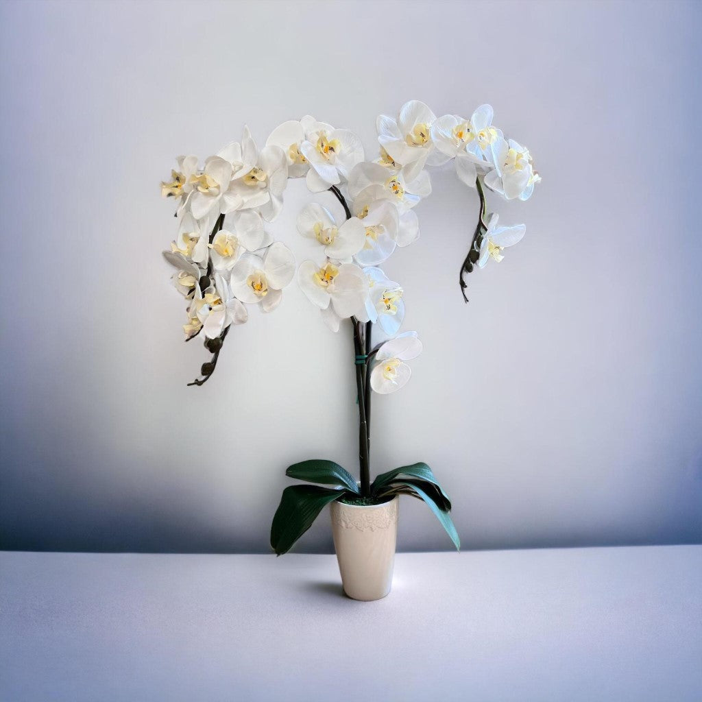 Stunning Orchids in White Conical Pot