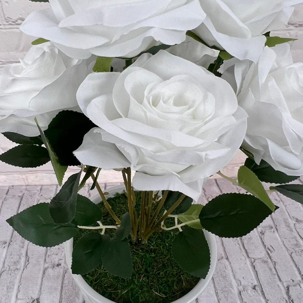 Gorgeous Roses in Ceramic Pot