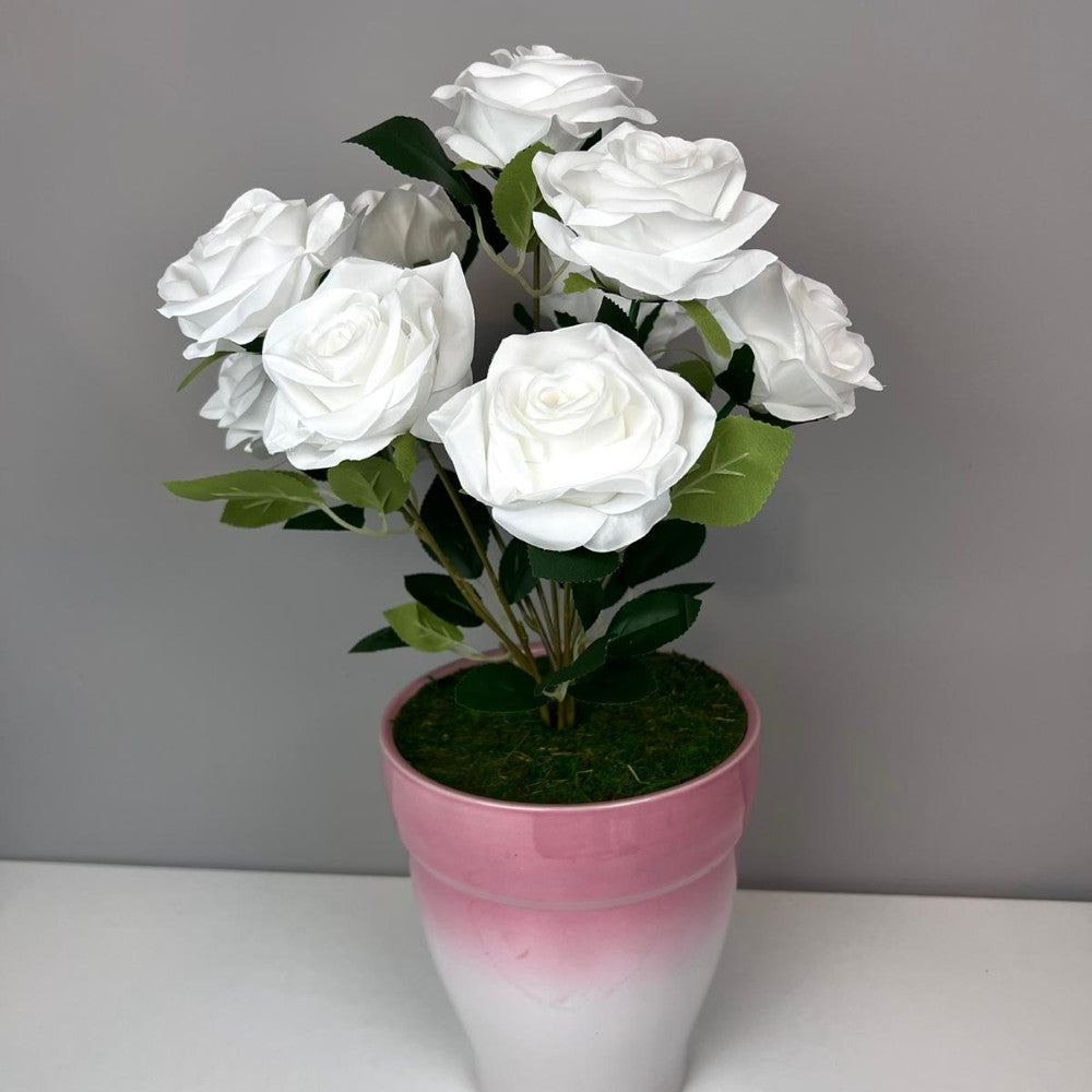 Gorgeous Roses in Ceramic Pot