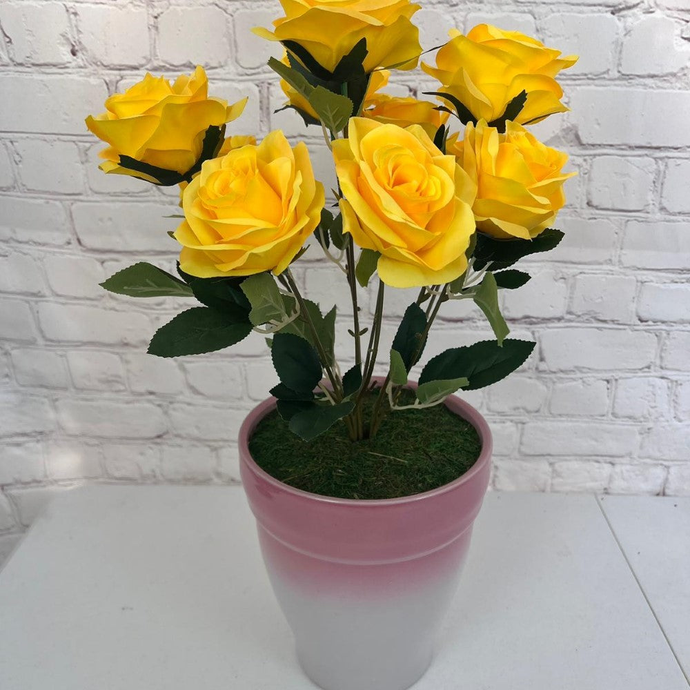 Gorgeous Roses in Ceramic Pot