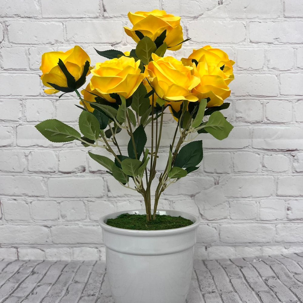 Gorgeous Roses in Ceramic Pot