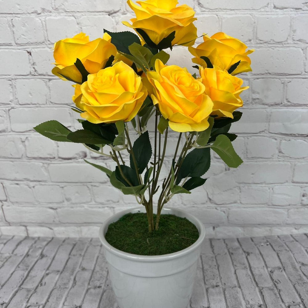 Gorgeous Roses in Ceramic Pot