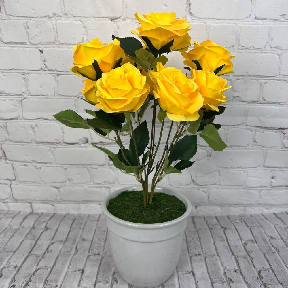 Gorgeous Roses in Ceramic Pot