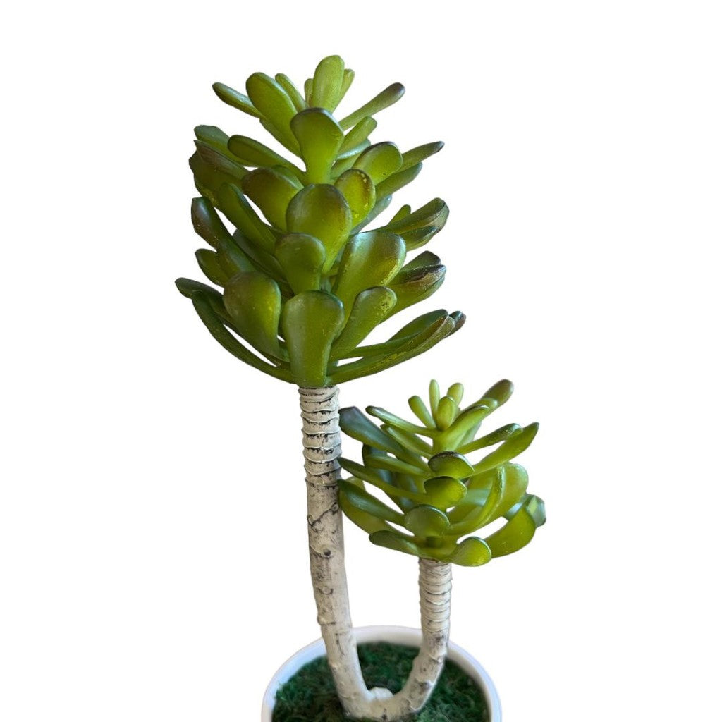 Stunning Artificial Plant in Ceramic pot