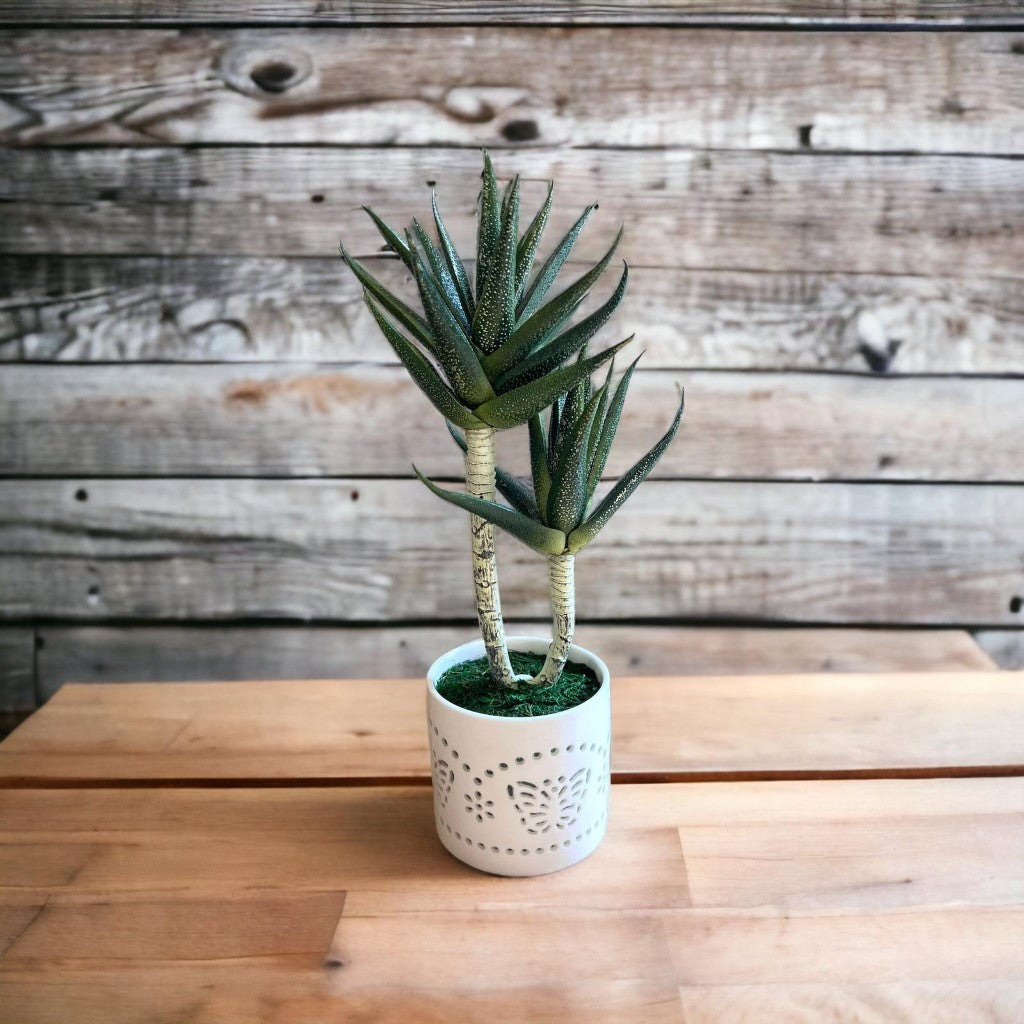 Artificial : succulent in ceramic pot