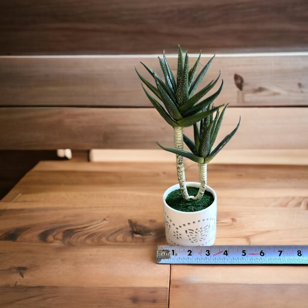 Artificial : succulent in ceramic pot