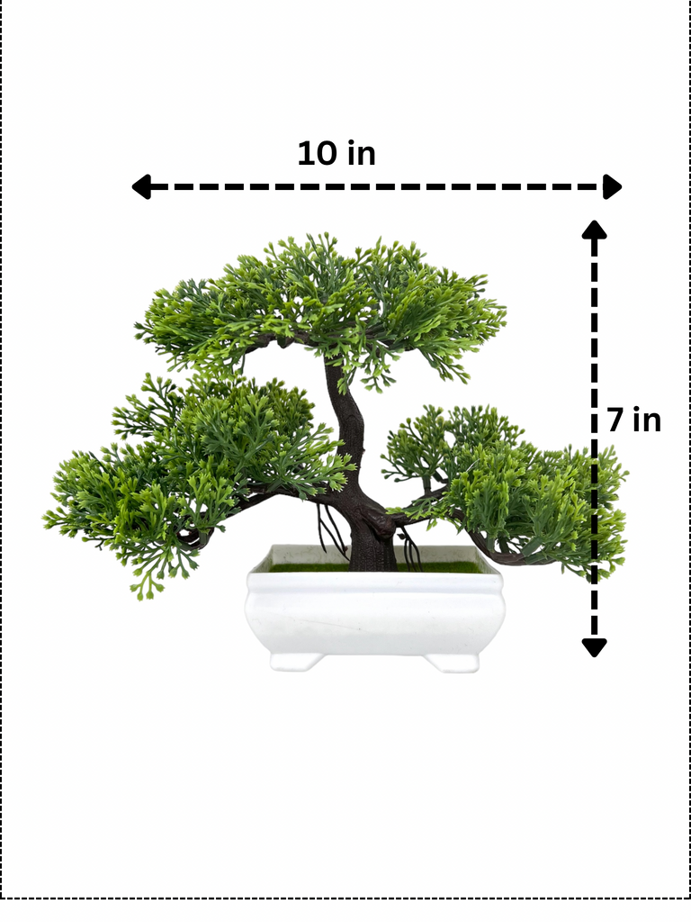 Gorgeous Green Three-Tiered Bonsai