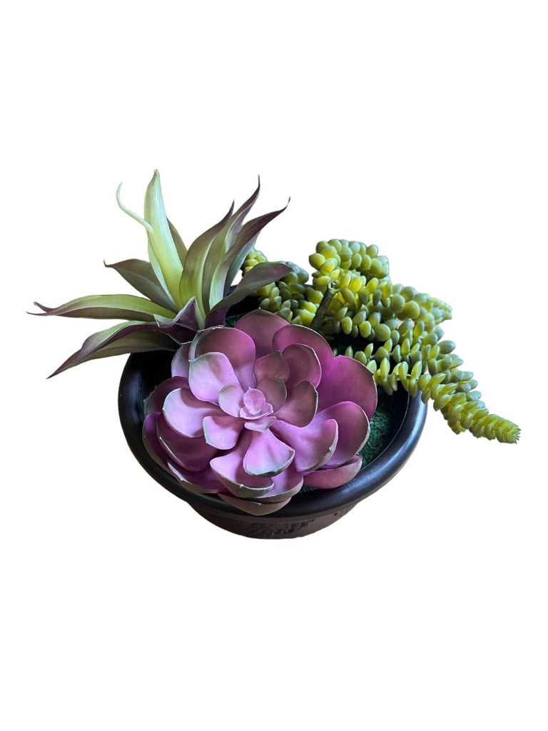 Artificial Gorgeous Succulent Plant in Plastic Pot