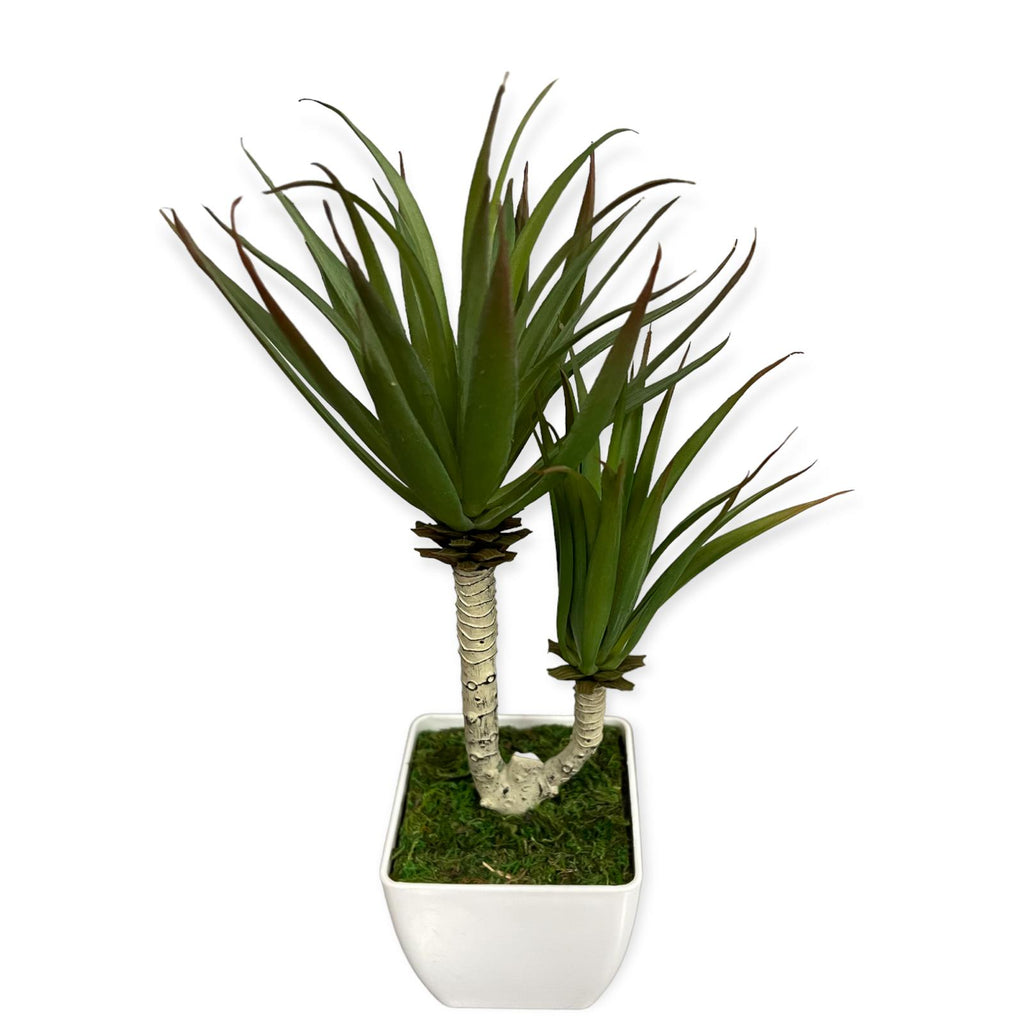 Gorgeous Yucca Plant (Artificial Plant)